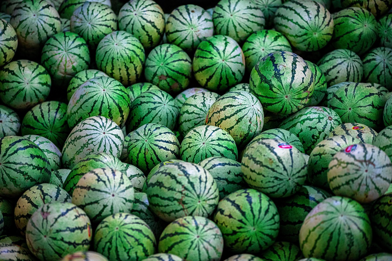 watermelon melon pattern fruit fabric food watermelon watermelon watermelon watermelon watermelon melon fruit