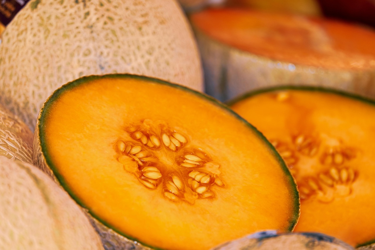 melon sliced ripe juicy fruit melon melon melon melon melon