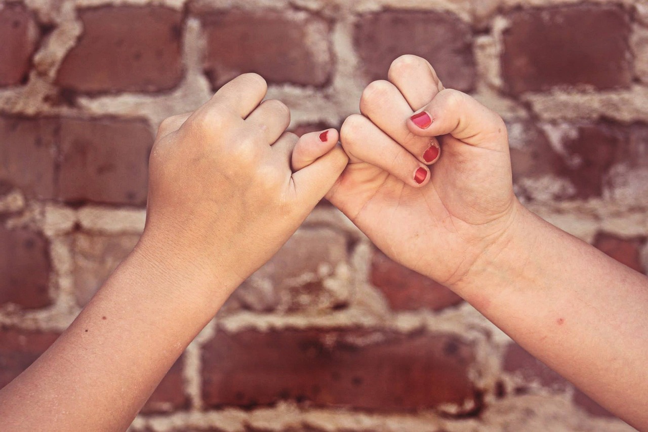 pinky swear  friendship  gesture  friends  pinky promise  hands  love  bff  best friends  friendship  friends  friends  friends  pinky promise  pinky promise  pinky promise  bff  bff  best friends  best friends  best friends  best friends  best friends