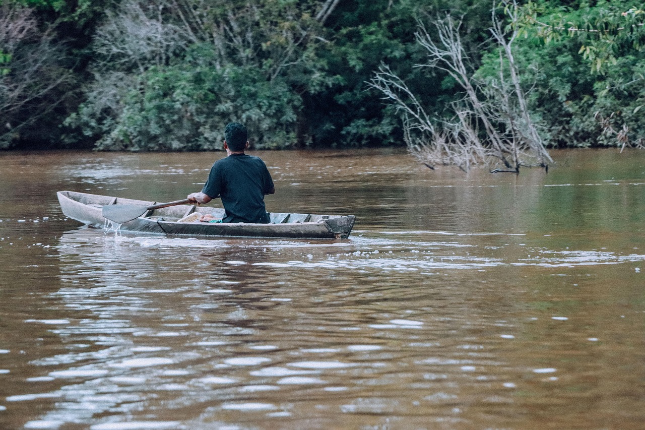 boat river man paddle boat nature jungle trees forest borneo borneo borneo borneo borneo borneo