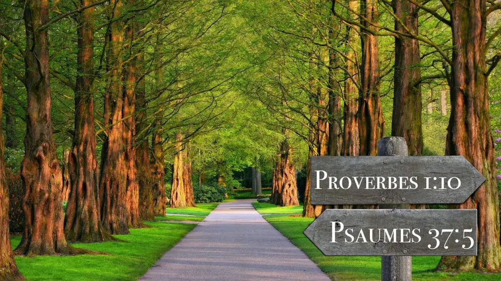 What Is the Biblical Meaning of Trees in Religious Symbolism?
