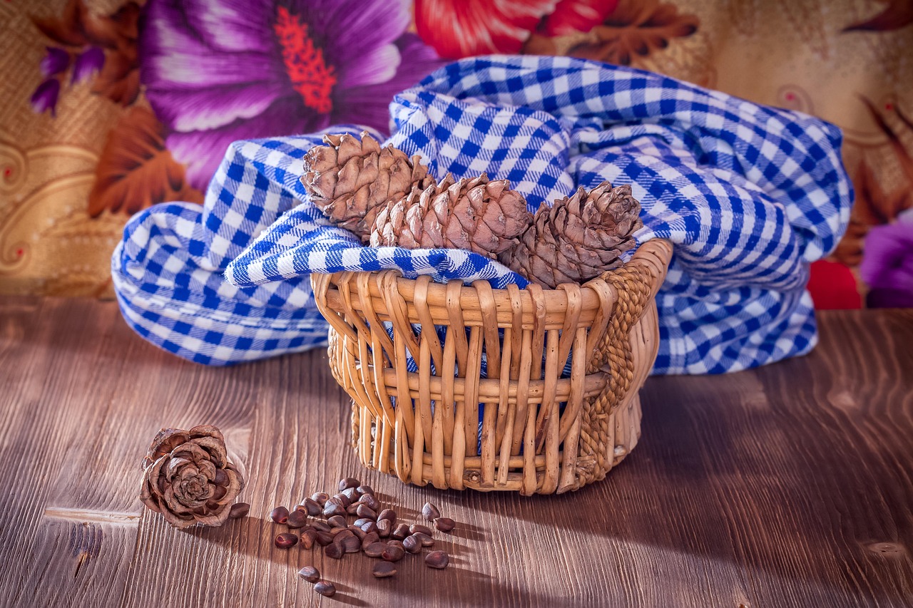 nuts cedar food nut bumps benefit nature tree useful nutrition autumn taiga table