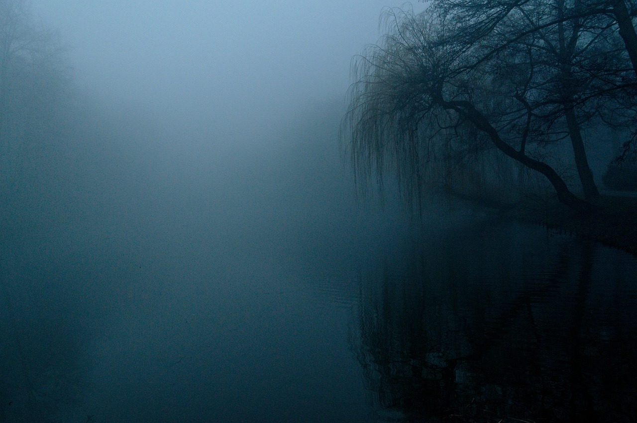 the fog darkness nature trees landscape tree twilight blue the background darkness darkness darkness darkness darkness