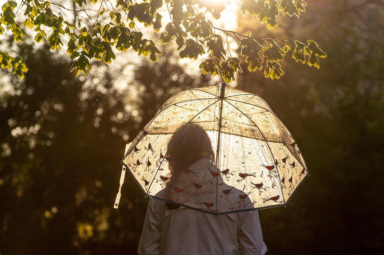 umbrella sunlight woman rain light girl branch leaves outdoors nature bokeh umbrella umbrella umbrella umbrella umbrella rain rain