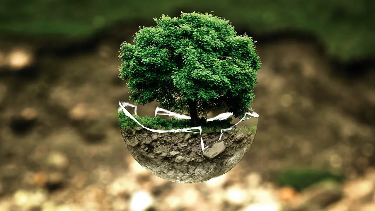 environmental protection  environment  the atmosphere  fragile  surreal  tree  nature  natural reserve  sensitive  forest dieback  forests  leaves  grow  green good  ecology  eco  bio  glass sphere  forest  green  organic  life  earth  tree protection  biology  ecological balance  environmental pollution  bonsai  deciduous tree  tree die  environmental protection  environment  environment  environment  environment  tree  tree  forest  life  earth  earth  earth  earth  earth