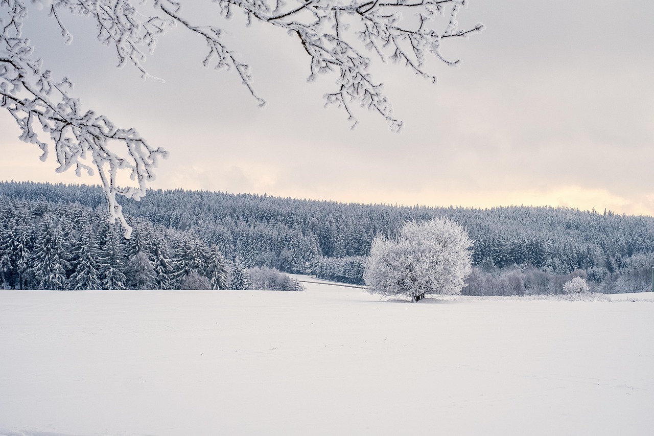 trees snow winter landscape covered in snow nature winter landscape sunset cold icy snow winter landscape landscape landscape landscape landscape winter landscape