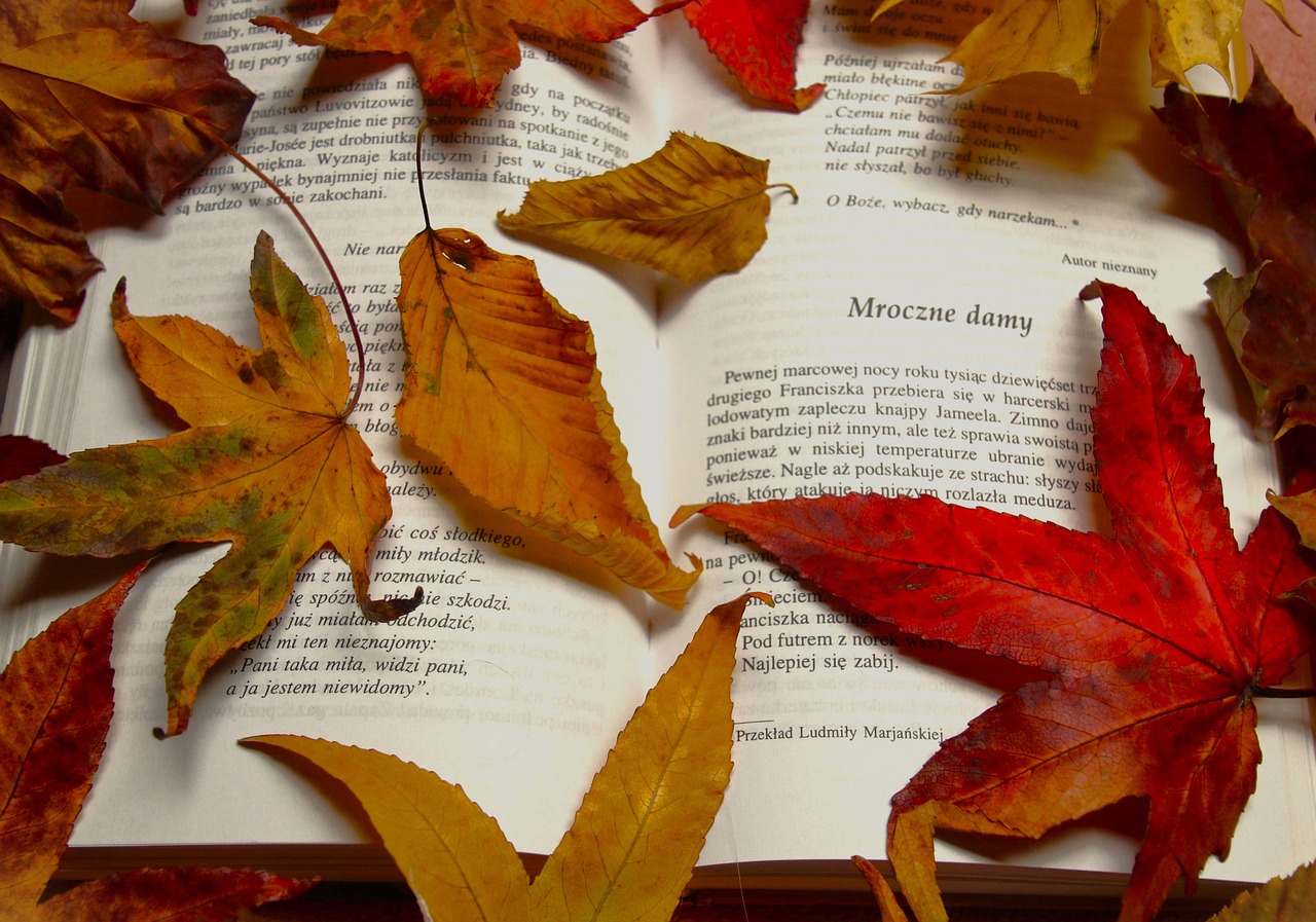 red leaves book text nature poetry literature in the fall leaf open book to read autumn leaves