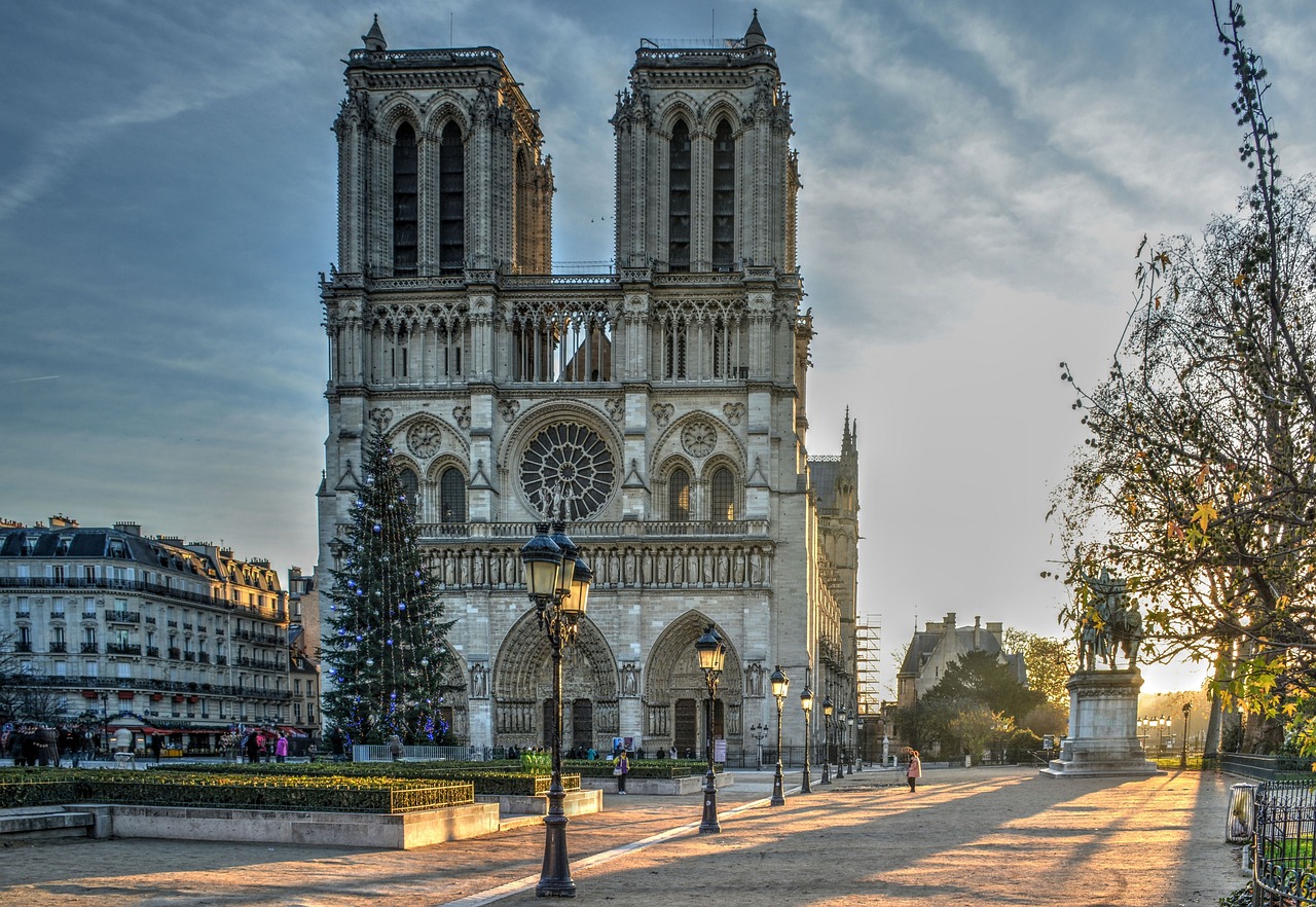 cathedral notre dame paris morning light christmas tree christmasbackground christmas notre dame notre dame notre dame notre dame notre dame