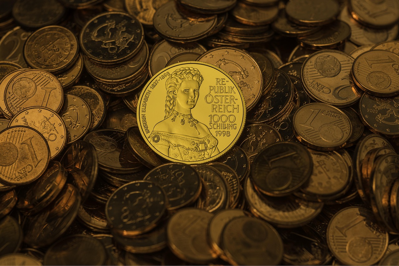 gold money coin cash gold coin sissi empress euros gold gold gold coin gold coin gold coin gold coin gold coin