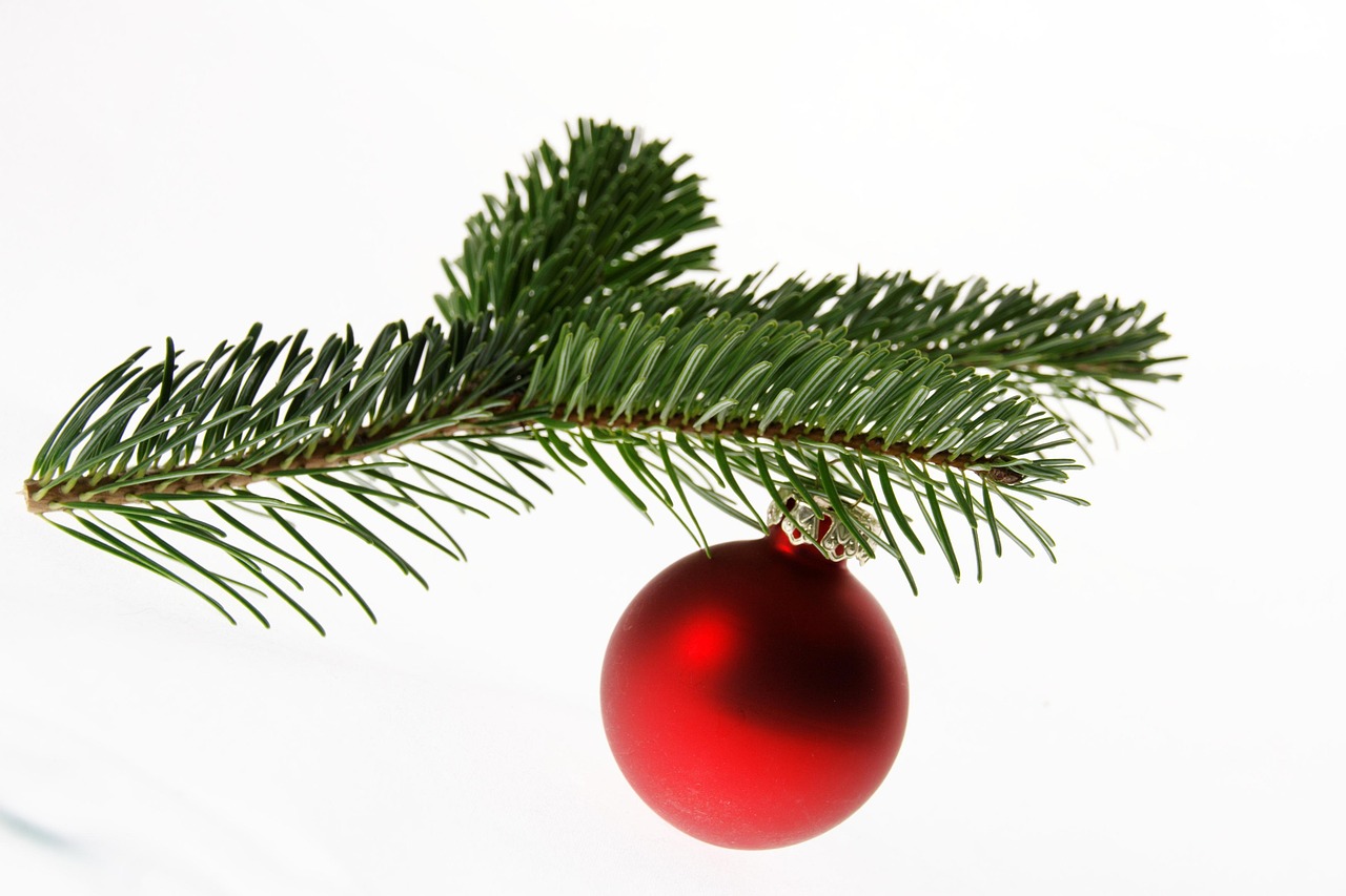 fir tree nordmann fir christmas tree christmas bullet christmas party deco christmas decorations branch festive decorations christmas tree christmas tree christmas tree christmas tree christmas tree christmas christmas christmas christmas party christmas party christmas decorations