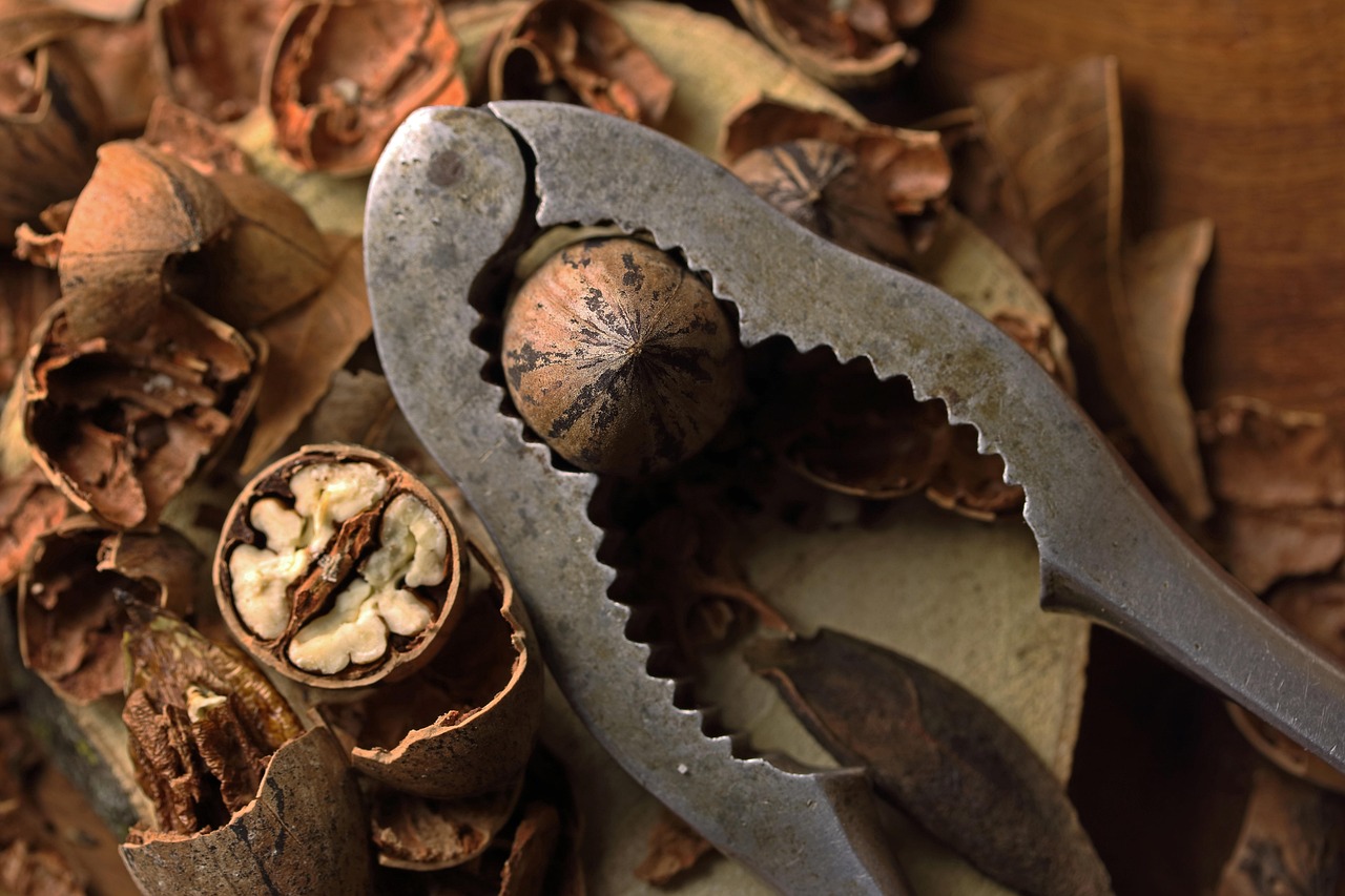 pecan nut nut cracker grip shells table top produce crop healthy