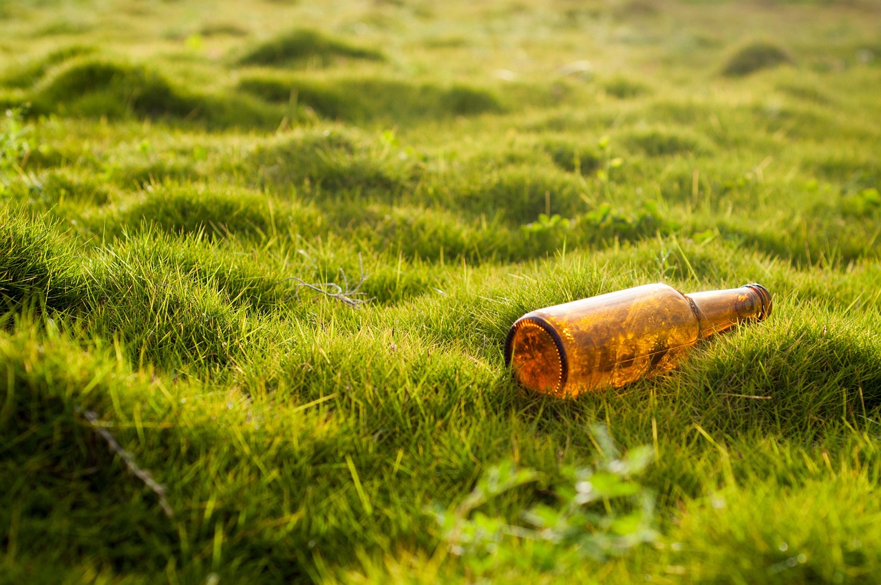 bottle  pollution  garbage  grass  lawn  nature  environmental protection  beer bottle  bottle  bottle  pollution  pollution  pollution  pollution  pollution  garbage  garbage  lawn  lawn  environmental protection  environmental protection  environmental protection  beer bottle