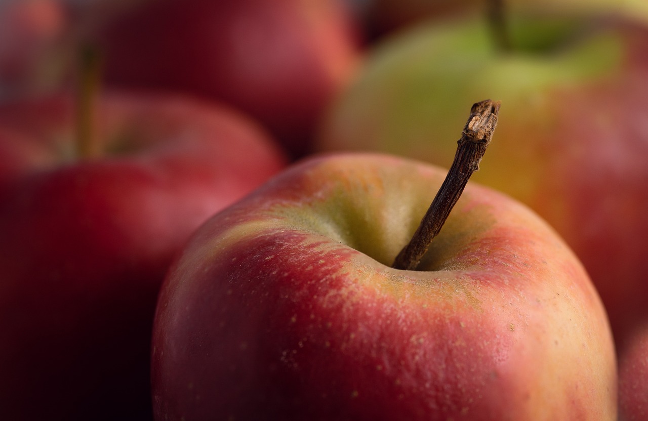 apple healthy red fruit apples fruits vitamins food harvest power supply ripe delicious health fruit basket fresh to live vitamin close up stem bio apple apple apple apples health health health health health