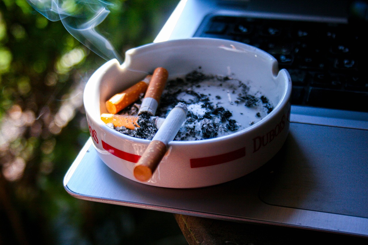 cigarette  tobacco  smoke  smoking  ash tray  cigarette  cigarette  smoke  smoke  smoke  smoke  smoking  smoking  smoking  smoking  smoking