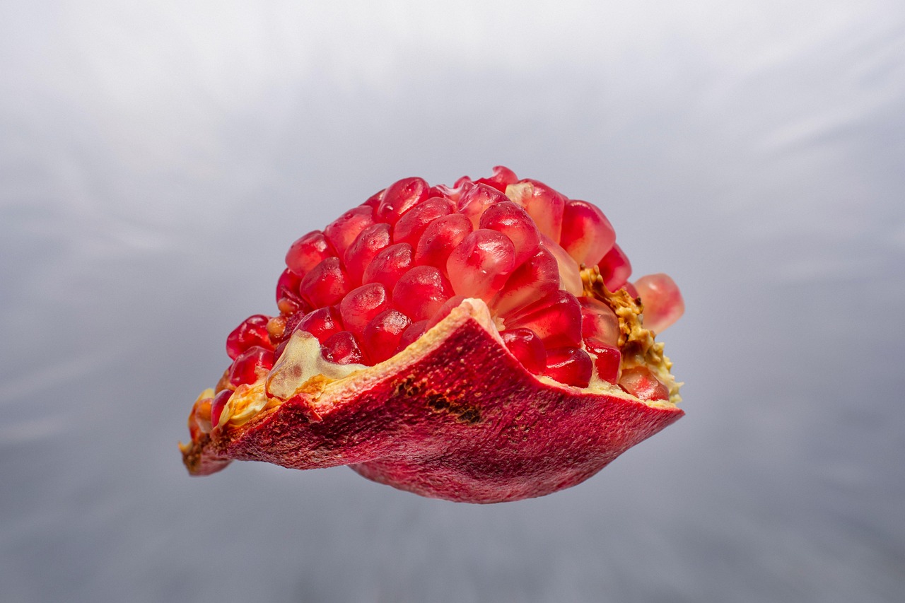 pomegranate fruit pomegranate pattern lover pomegranate art cute pomegranate pomegranate love cool pomegranate pomegranate lovers pomegranate animal trendy pomegranate pomegranate girls happy pomegranate pomegranate nature pomegranate vintage kawaii pomegranate pomegranate pomegranate pomegranate pomegranate pomegranate