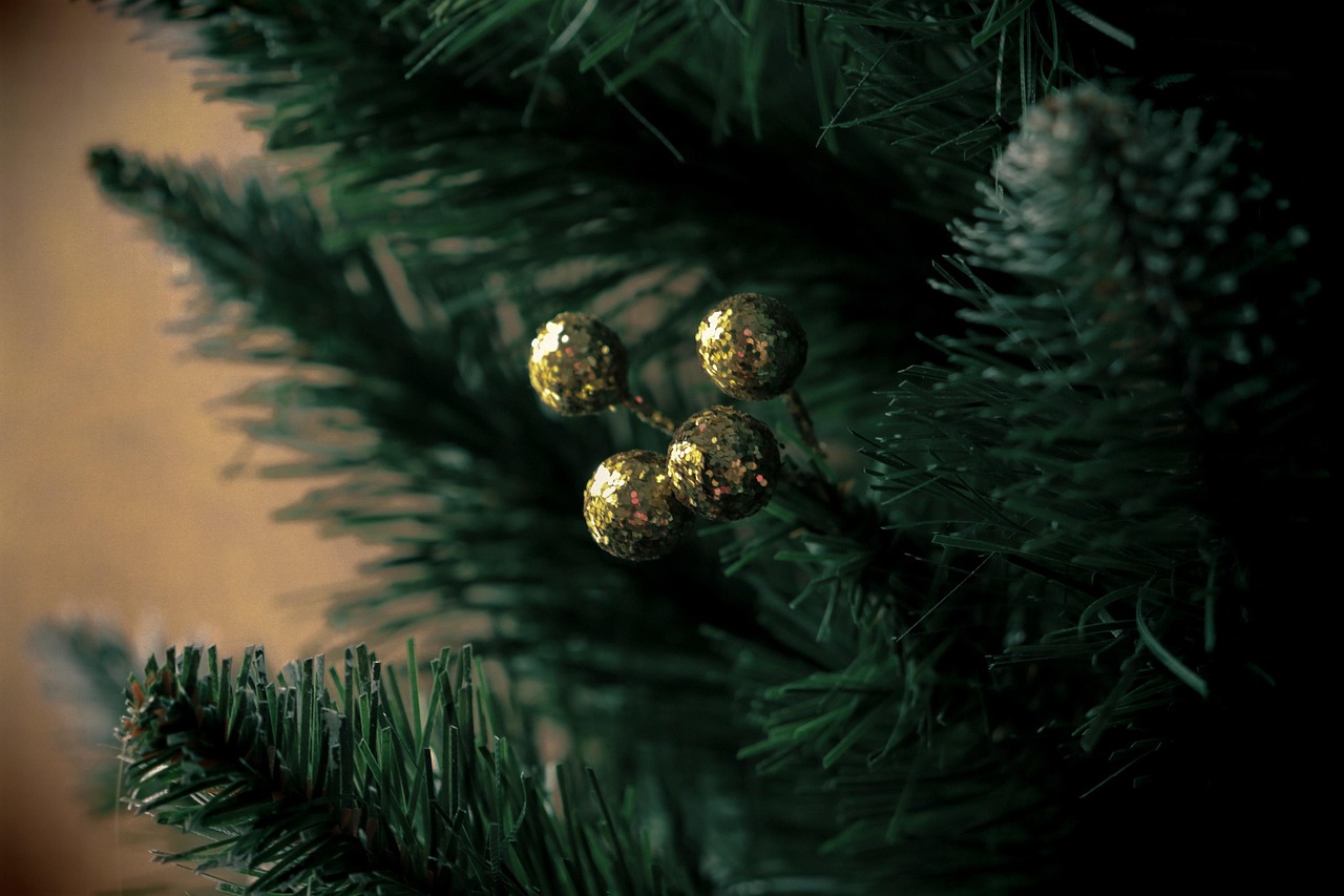 christmas tree  spruce  christmas  decoration  green  gold  evergreen  nature  coniferous  tree  december  decor