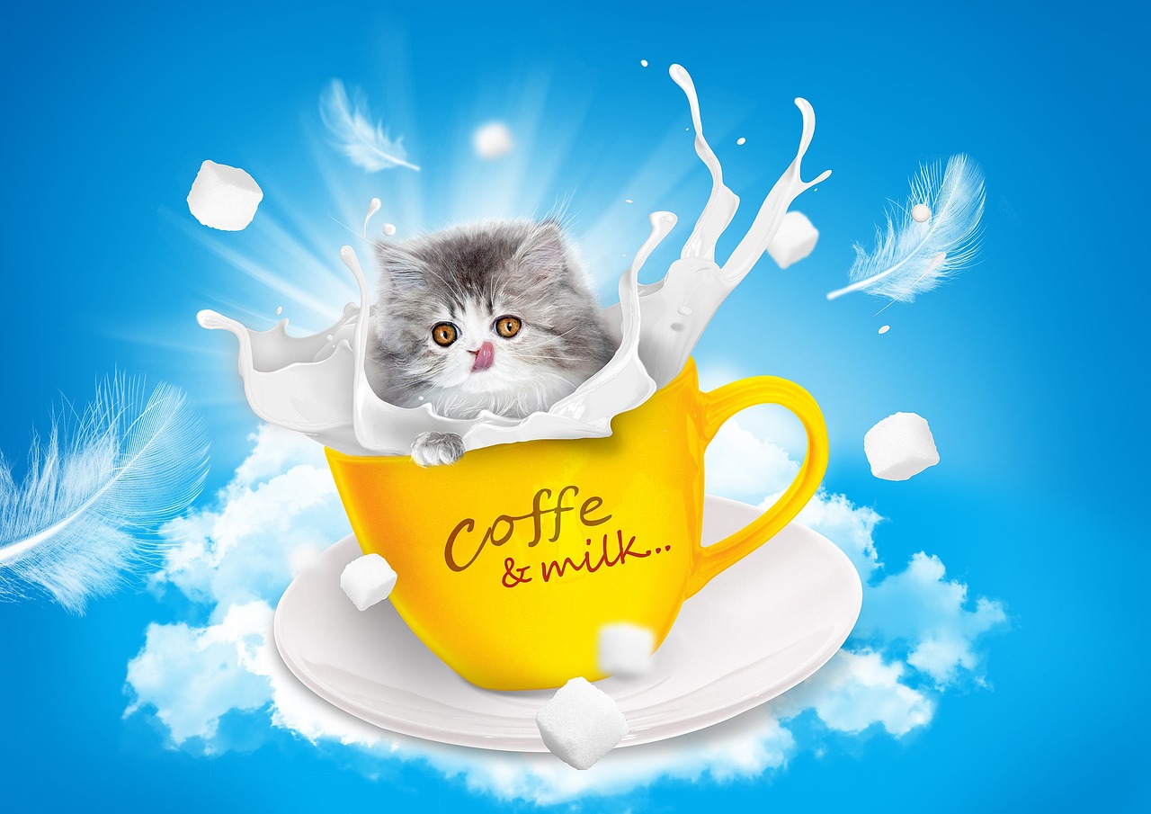 cat milk full hd wallpaper wallpaper hd free wallpaper cool backgrounds mac wallpaper nature wallpaper 4k wallpaper 1920x1080 teacup persian cat clouds sky beautiful wallpaper heaven sugar cubes desktop backgrounds 4k wallpaper windows wallpaper feather pet beautiful nature friend fur hd wallpaper wallpaper 4k sweet laptop wallpaper sky background kitten animal nature free background nature background messy cute wallpaper