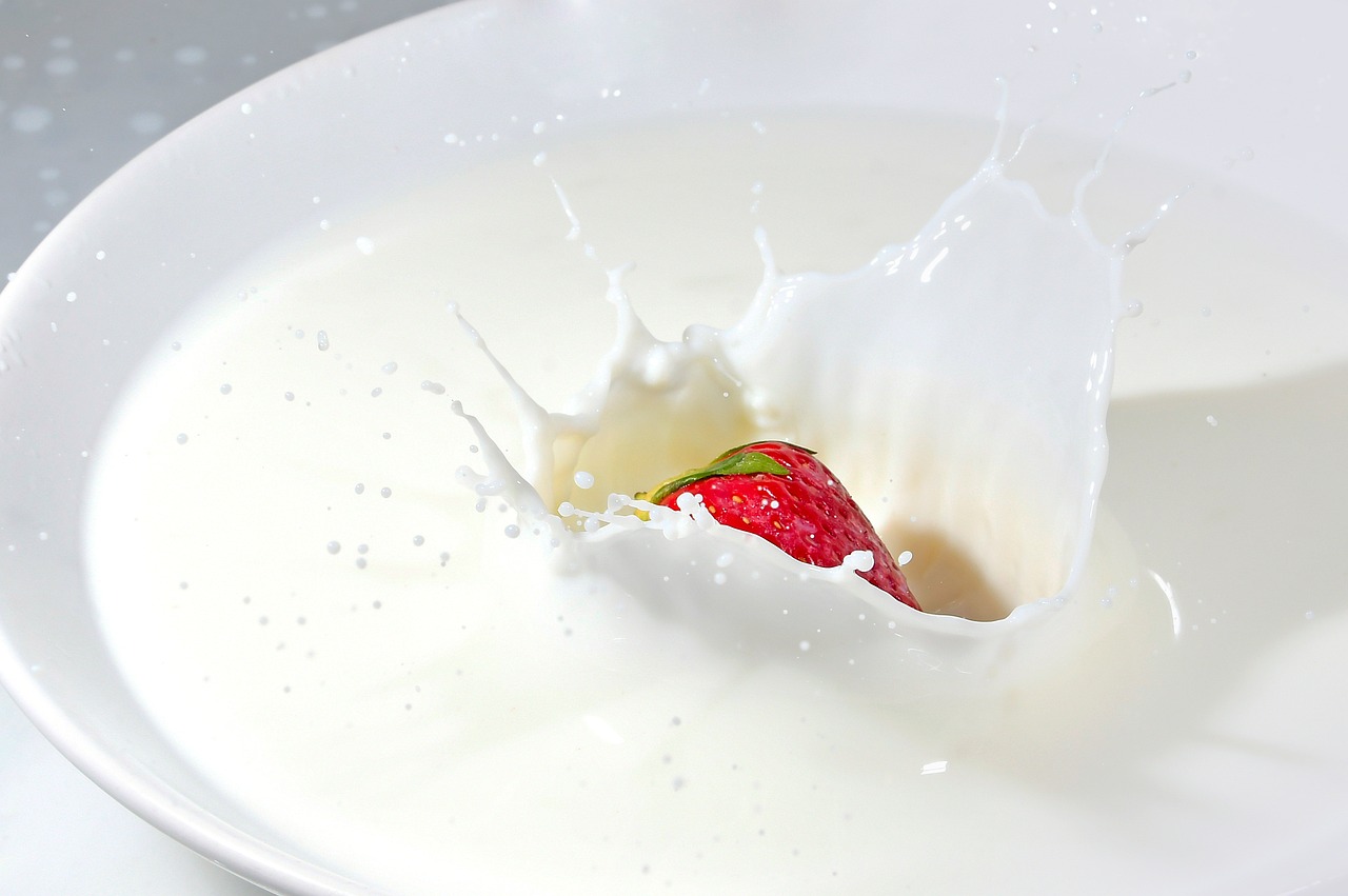 milk white food sweet drink eat strawberry liquid fruit splash milk milk milk milk milk