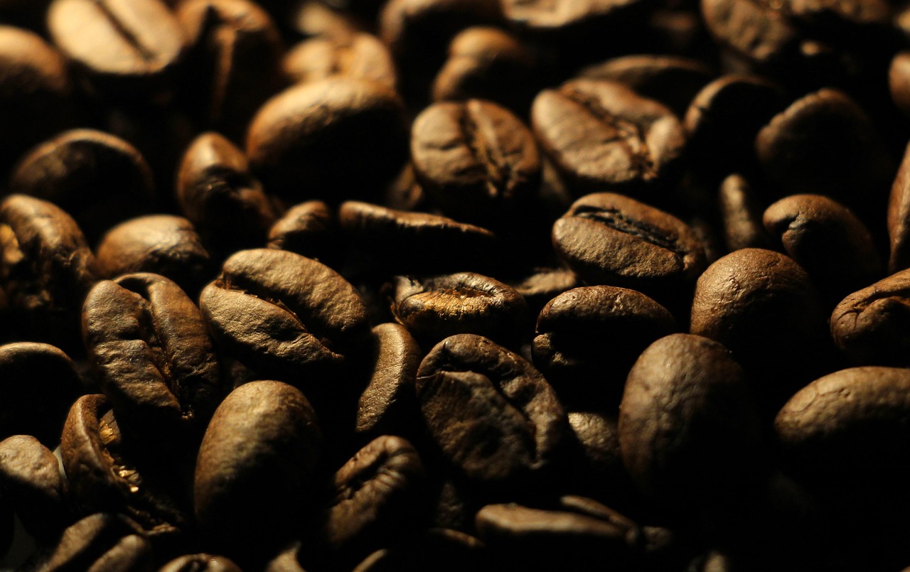 coffee beans coffee grains seeds caffeine coffee coffee coffee coffee coffee
