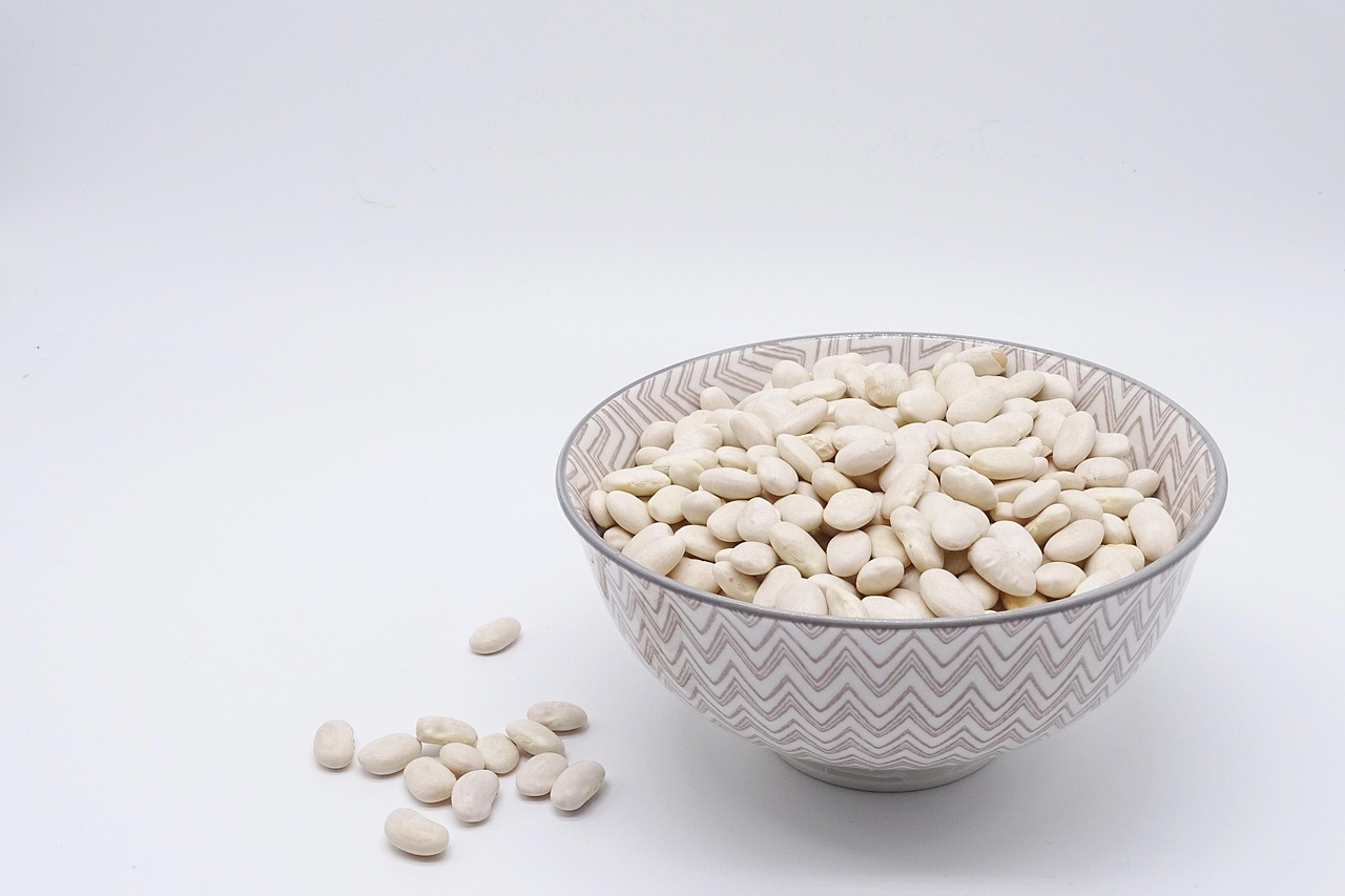 bean  white beans  legumes  food  protein  vegetarian