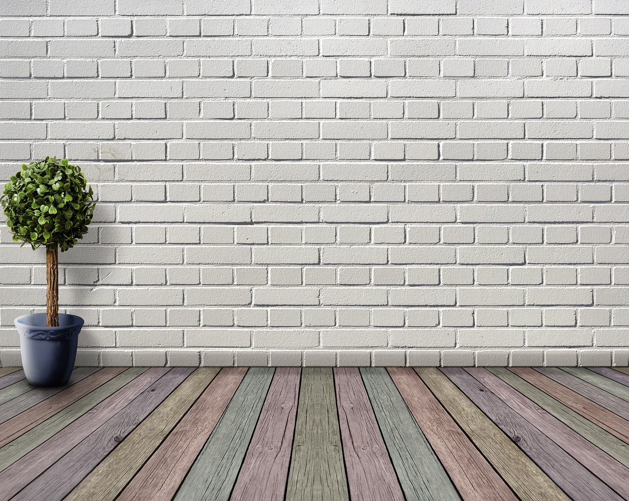 space empty wooden floor plant plant pot nature boxwood deco houseplant white inner space wooden floorboards coloured wall room stone wall architecture living room floor inside brick wall