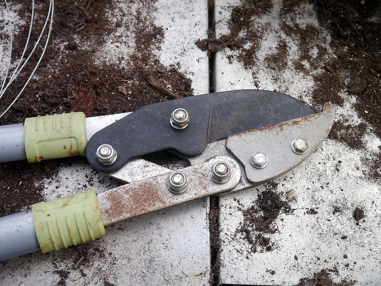 secateurs tool gardening cutting clippers trimming trimmer pruner equipment pruning cut gray gardening gray tools pruning pruning pruning pruning pruning
