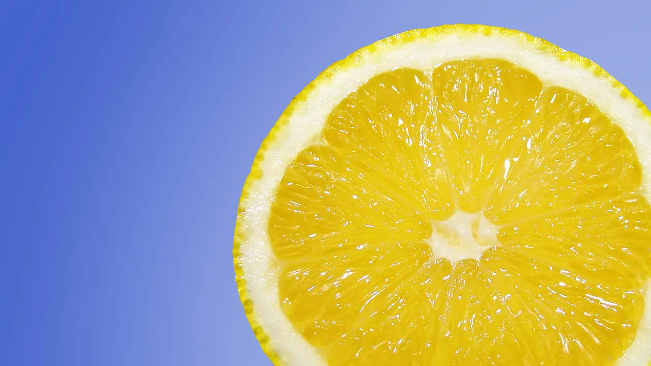 lemon fruit slice flesh food citrus juicy citrus fruit healthy vitamins organic natural closeup lemon lemon lemon lemon lemon fruit
