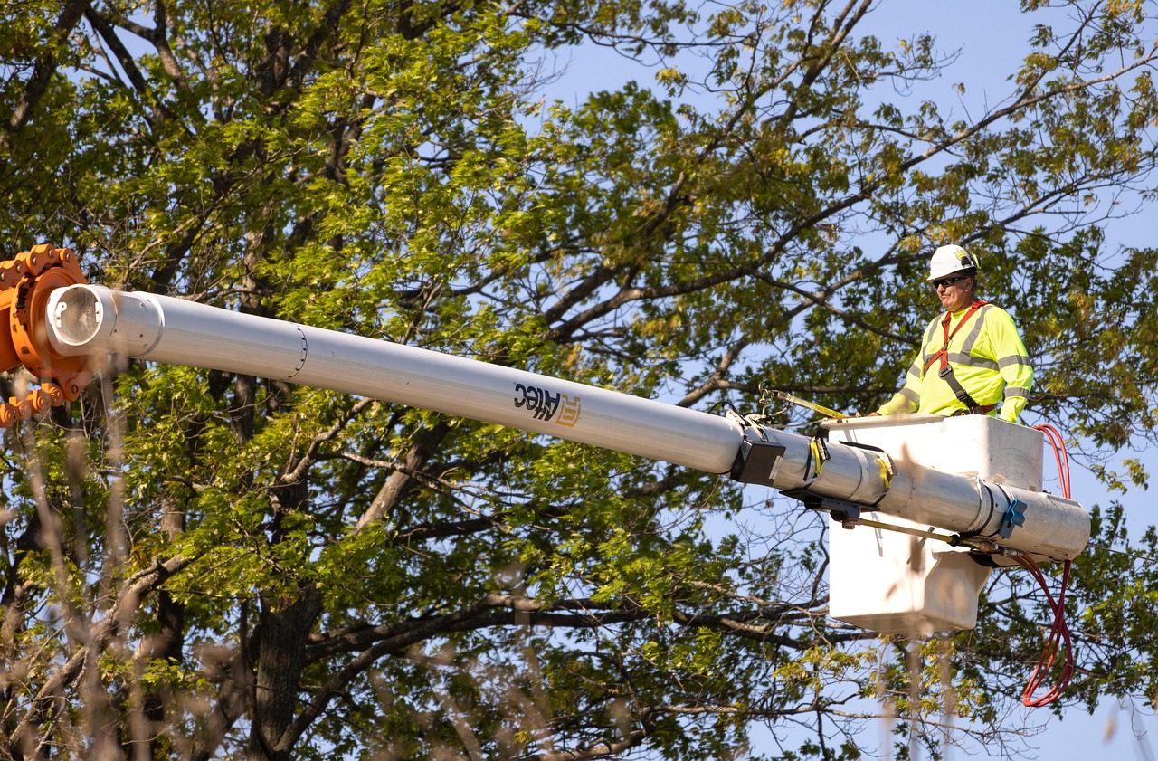 arborist pruning worker nature trees labor trimmer