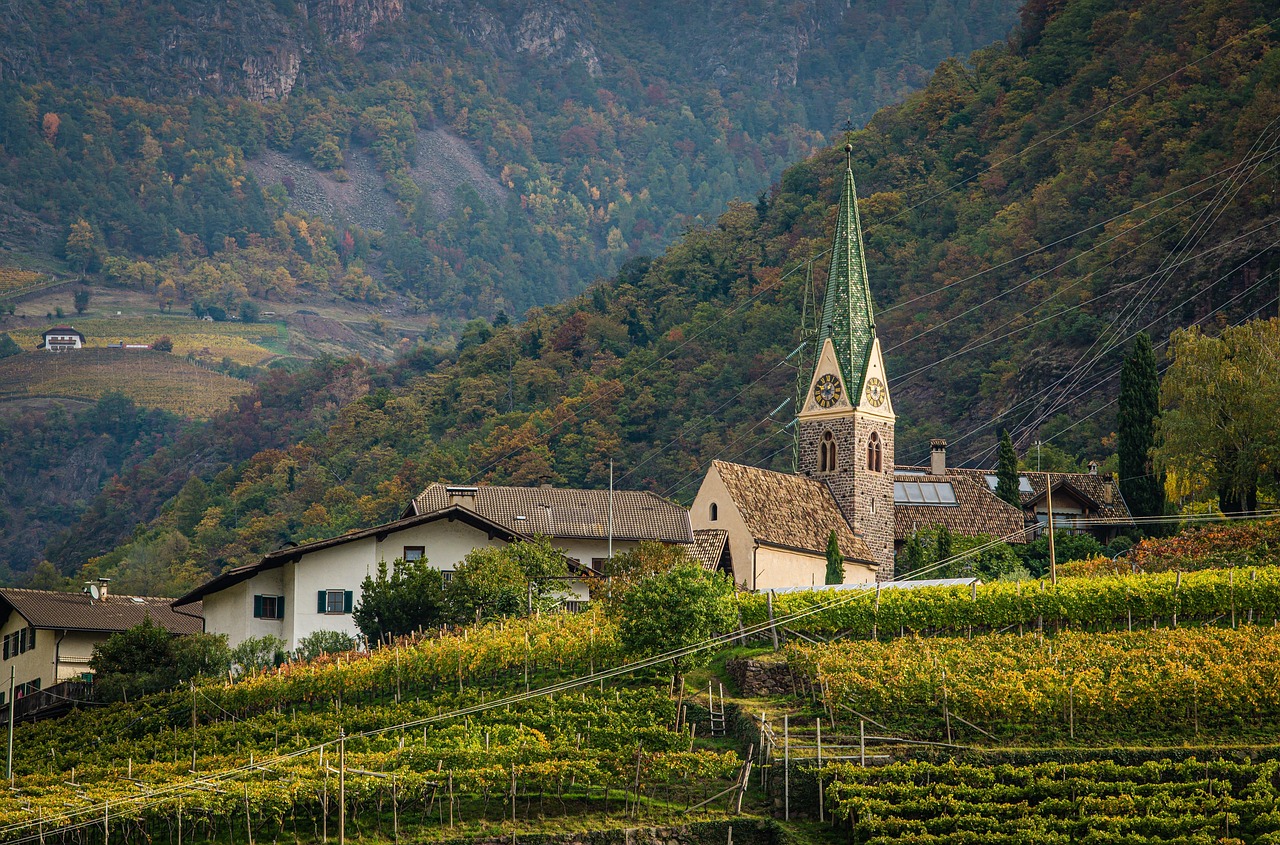 autumn town vineyard autumn vineyard bolzano italy travel nature autumn colors vineyard travel travel travel travel travel nature nature