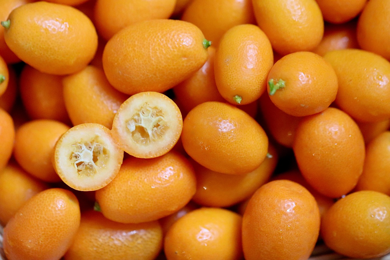 kumquats citrus fruits tropical fruits golden orange dwarf oranges fruit vitamins fortunella margarita nagami kumquats food
