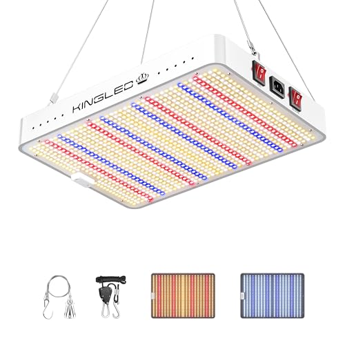 KingLED KP2000 Grow Light for Indoor Plants, Full Spectrum Plant Grow Light