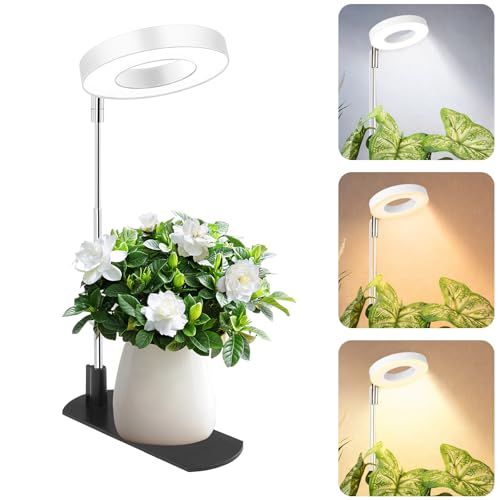 LBW Grow Lights for Indoor Plants, Full Spectrum Halo Grow Light with Base