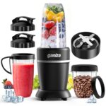 Ganiza Smoothie Blender Max 1300W