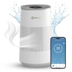 Air Purifier and Humidifier Combo All in One for