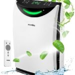 4 in 1 Humidifier and Air Purifier in One