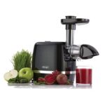 Omega H3000D Cold Press Juicer Machine