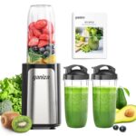Ganiza Smoothie Blender